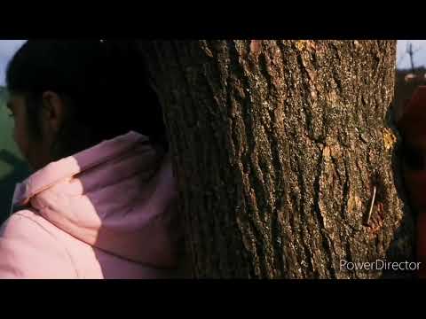 Gipsy Dajko / Na želanie.....ked som ju uvidel