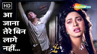 Aa Jana Tere Bin Lage Nahin by Sadhana Sargam, Suresh Wadkar