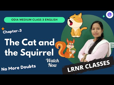 Odia Medium Class 3 English Chapter-3 "The cat and the squirrel" || Learn English || LRNR Classes
