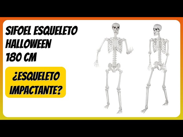 Vídeo relacionado con SIFOEL Esqueleto de Halloween de tamaño Natural, 180 cm, Esqueleto de Cuerpo Entero con articulaciones móviles para Accesorios de Halloween, decoración de Fiesta Espeluznante (2piezas)