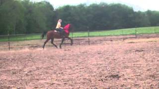 Bravehearts Sensation