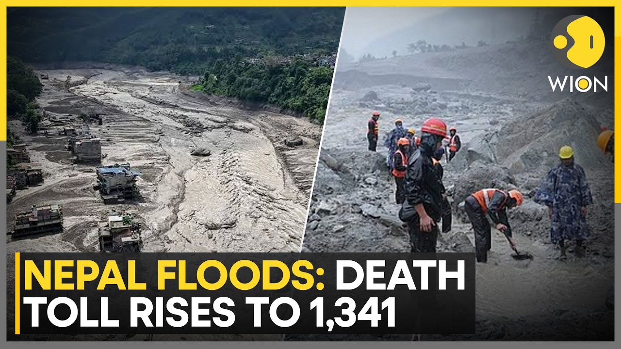 Nepal Floods: 13,401 People Have Been Rescued | WION News