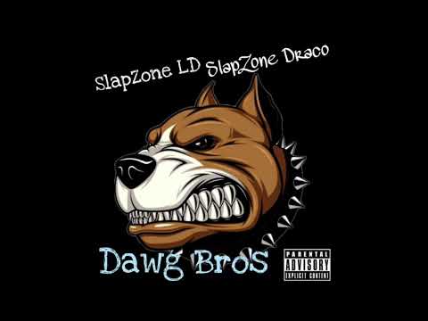 SlapZone LD - Dawg Bros Ft. SlapZone Draco