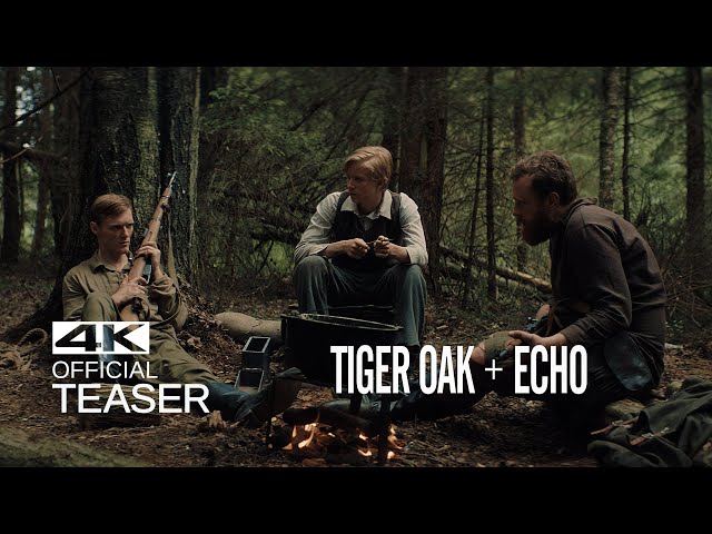 TIGRAS ĄŽUOLAS + AIDAS Tyzeris (2018)