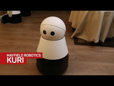 Meet Kuri — an adorable wandering security cam