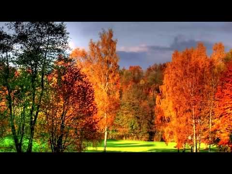 Indian Summer - Ein Rausch in Farbe I