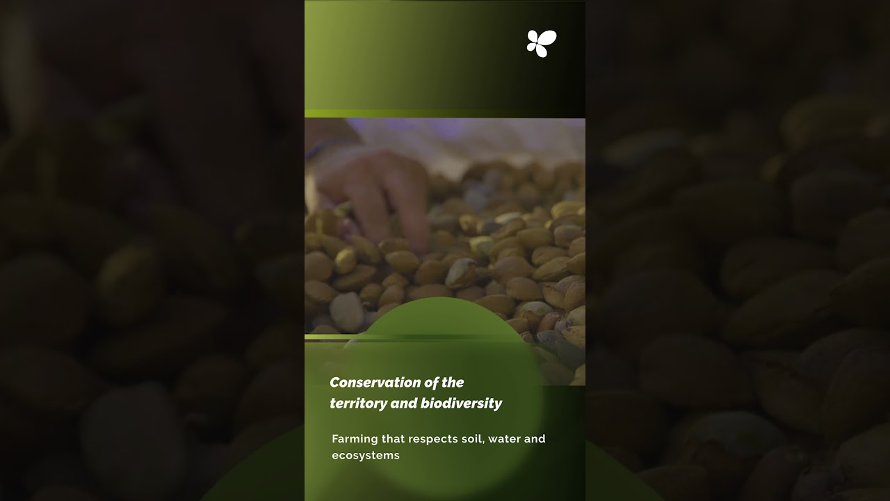 Support for New Organic Producers in the Balearic Islands Through Public Aid