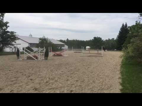 Rummler Run Holsteiner stallion El Galéon "Bentley" schooling