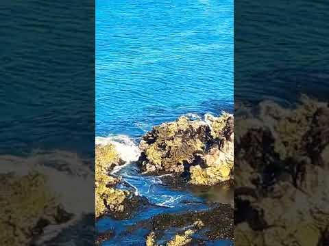 MARCONA BEACH 2020: Nada es para siempre