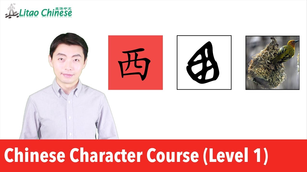 Learn Chinese Character “西” | Chinese_Character_Course Level 1_Lesson 12