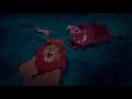 Kmari And Bailey S Adventures Of The Lion King Pt 18