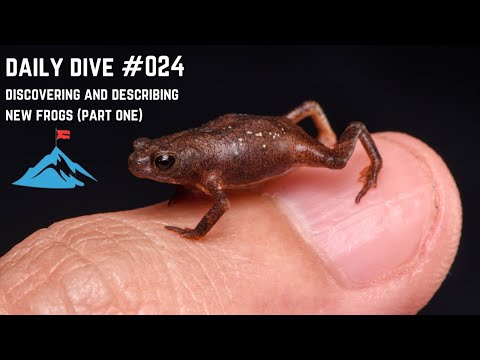 Discovering and Describing New Frogs