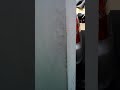 Mobil Goyang Goyang Ada Apah Ya Di Dlm