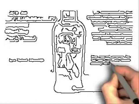 The Best way to Lose Weight