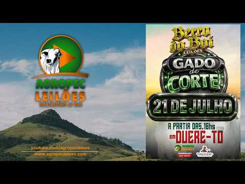 Agropecleiloes LEILÃO GADO DE CORTE | BERRO DO BOI LEILÕES - DUERÉ -TO - 21/07/2026.