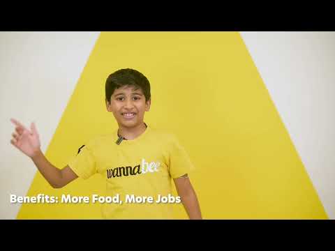 The Hive Explains - Green Deserts by Akshaj Krishna