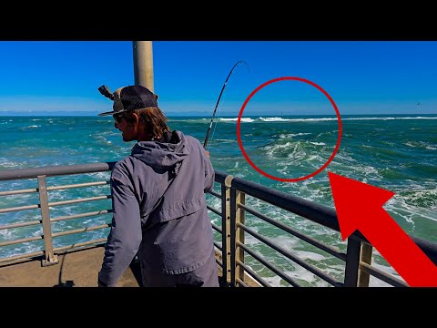 Fishing the Coldest Weather in Over 15 Years! - Jetty GIANTS!