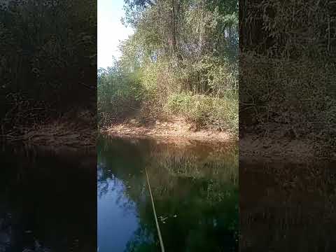 #Rio salgado missão velha Ceará