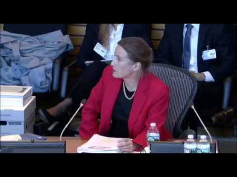 Vattenfall v Germany - Public Hearing - Day One - 10 October 2016 - 3 of 4