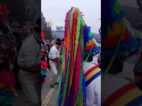 O biceiuri de iarna caluțul din comuna victoria ieși