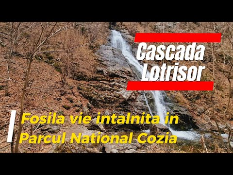 Cascada Lotrisor, Parcul National Cozia, Valcea, Romania, 20 feb 2024. #mountains #nature