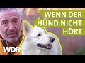 Dem Hund konsequent Grenzen aufzeigen | Hunde verstehen | S03/E03 | WDR
