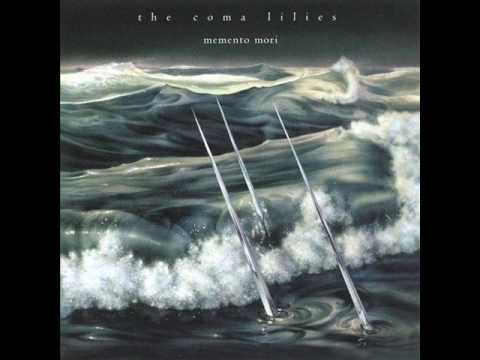 The Coma Lilies-One Day He Will Disappear