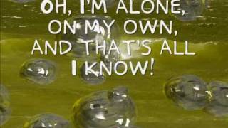 Taylor Swift-A Place In This World [With Lyrics]