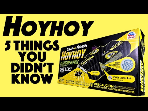 5 Things You Didn't Know about HoyHoy Roach Traps