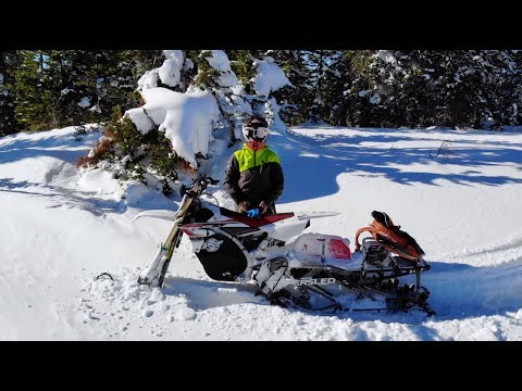 Testing Out The NEW Timbersled ARO3