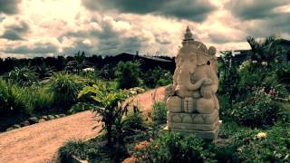 Byron Yoga Center Report