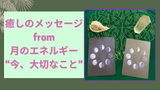 月のエネルギーで癒されよう！「今、必要なこと」 11/20 - 26 #オラクルカードリーディング