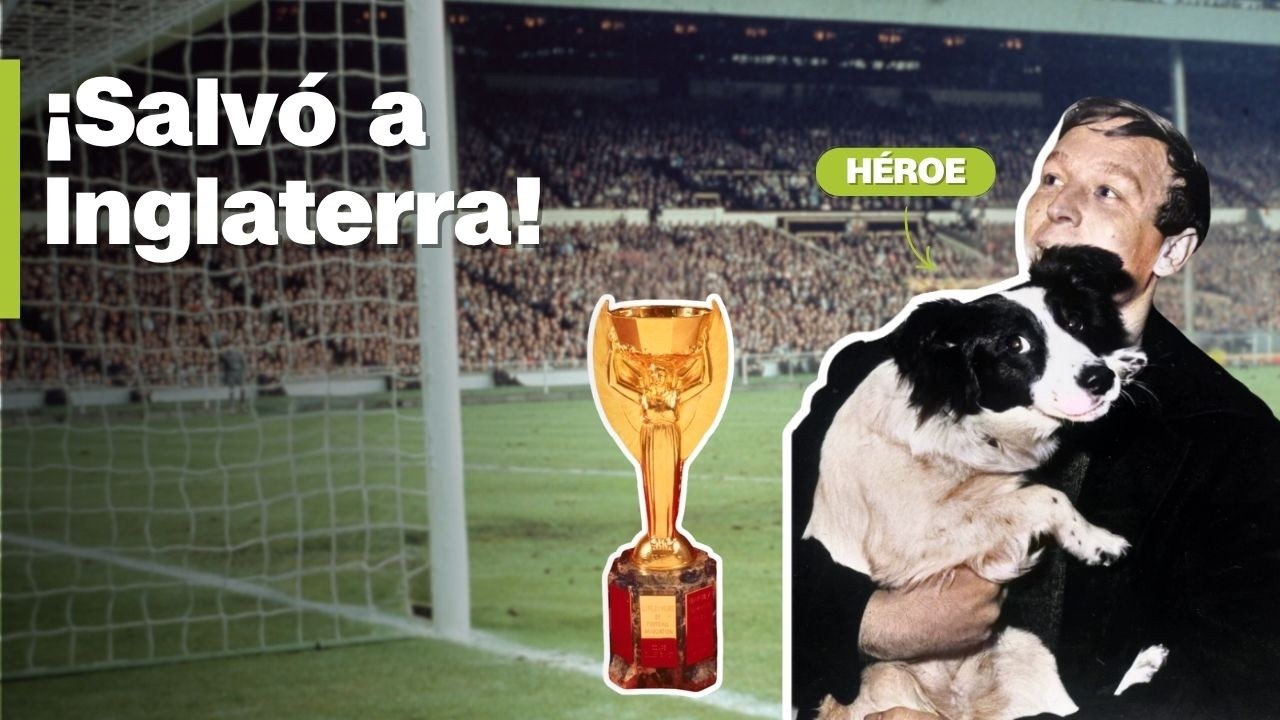 La historia de Pickles, el perro que salvó a Inglaterra de una vergüenza mundial