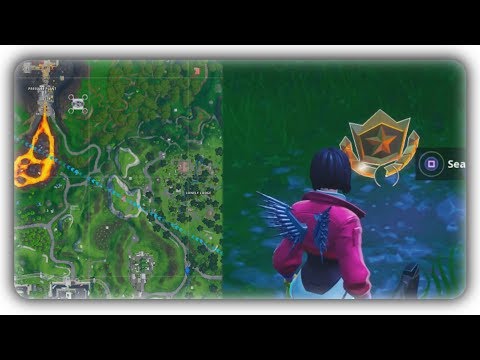 Find the SECRET BATTLE STAR hidden in Loading Screen #1 - exact Location