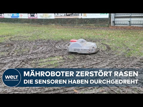 DEUTSCHLAND: Technikfehler legt Sportplatz lahm - Mähroboter zerstört Rasen in Aurig!
