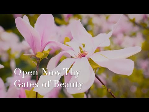 045 SDA Hymn - Open Now Thy Gates of Beauty (Singing w/ Lyrics)