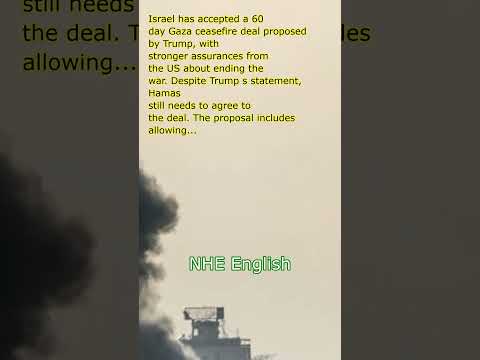 Israeli official says country has accepted 60-day Gaza ceasefire deal detailed by Trump