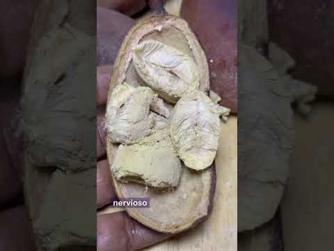 Los beneficios de la Algarrob￼a