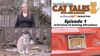 Cat Tales with Debi Romano: Episode 1 - A Preview of Coming Attractions