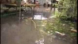 preview picture of video 'Hochwasser Weesen 1999'