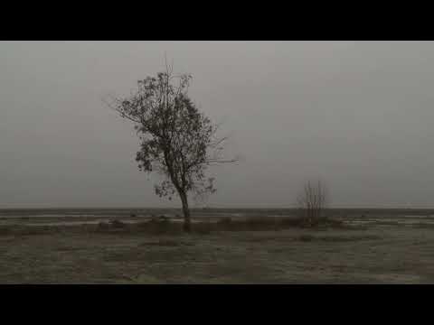 알렌스워스 ALLENSWORTH | 감독 제임스 베닝 James BENNING | 24th JEONJU IFF OFFICIAL TRAILER 예고편