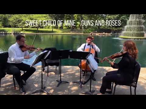 Difference between a solo violin, string duo, string trio and string quartet ~ Columbus Musicians