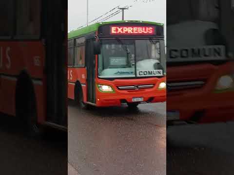 Linea Exprebus Tucumán