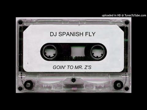 Dj spanish fly - Bitches And Money (goin' to mr. z's)