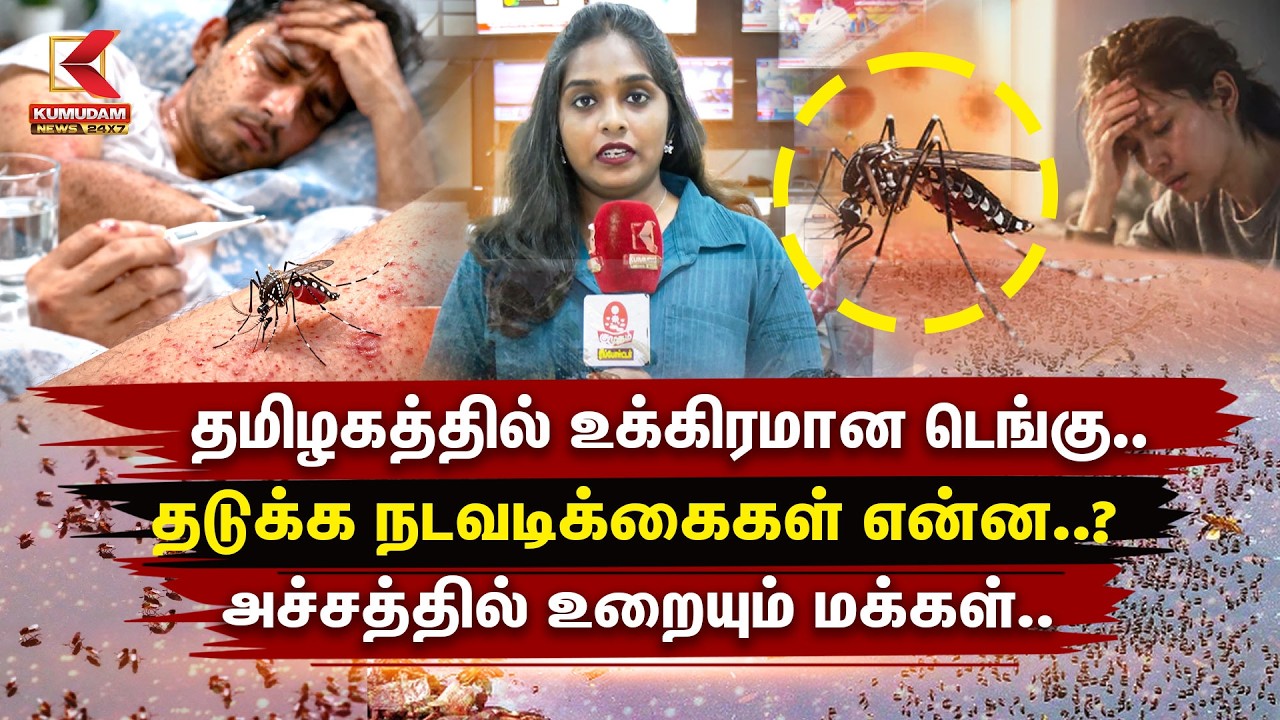 BREAKING :டெங்கு காய்ச்சல் உக்கிரம்.. தமிழகத்தில் அச்சத்தில் மக்கள்! | Dengue Fever Shocking Report
