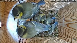 6 minutes of agitation for the 6 flights