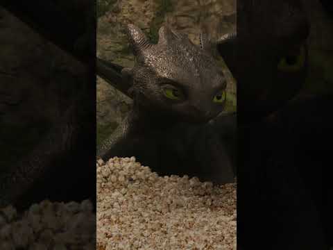 Thumbnail of the video: Concessions