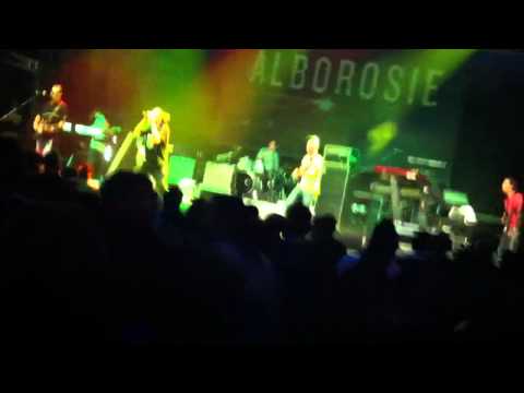 Alborosie e boom boom vibration live