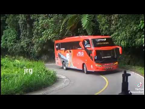 Aksi bus JRG di lurah barangin pasaman||JRG HINO DCR260