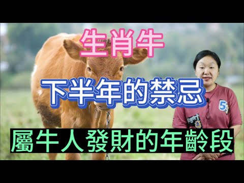 2023屬牛禁忌